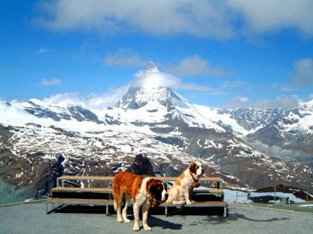 Monte Rosa (4634 m)-Schweiz