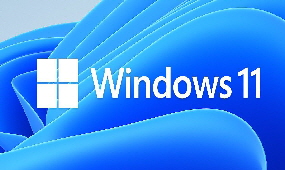 Windows 11